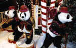3pandaszz.jpg (107486 bytes)