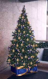 BT1bb.jpg (197680 bytes)