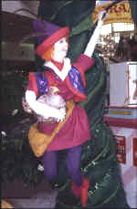 Elf.jpg (78590 bytes)
