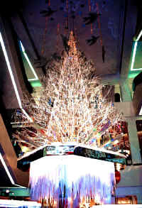 Icetree1b.jpg (123375 bytes)
