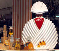 diva2b.jpg (46654 bytes)
