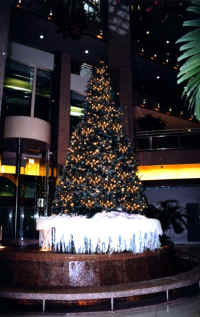 tree09bb.jpg (85272 bytes)