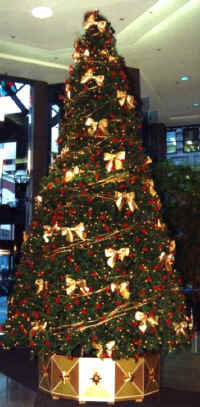 tree11b.jpg (70000 bytes)